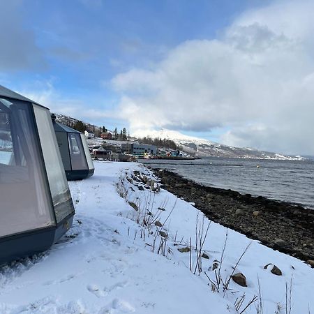 Elvegard Fjordcamp Hotel Grov Kültér fotó