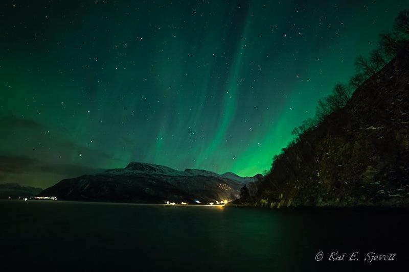 Elvegard Fjordcamp Hotel Grov Kültér fotó